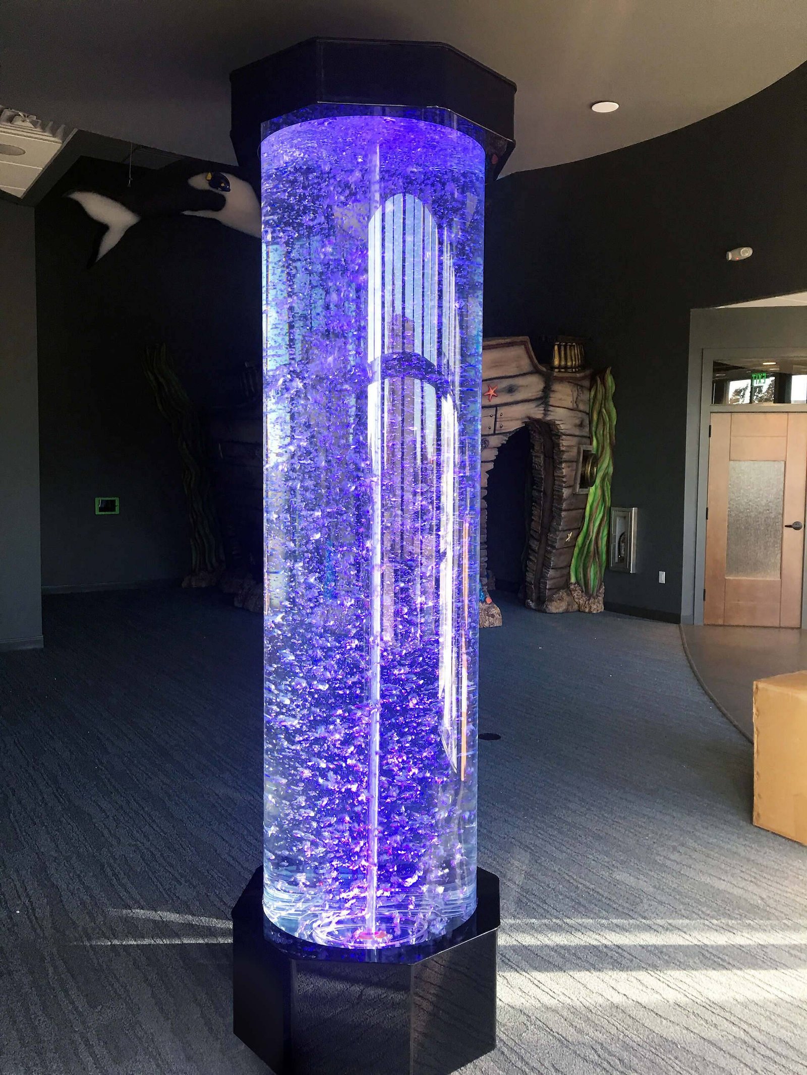 Bubble-Column-Tube-at-Family-Dental-in-Iowa-City